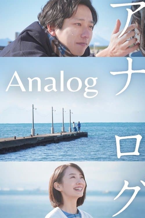 アナログ
