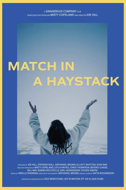 Match in a Haystack
