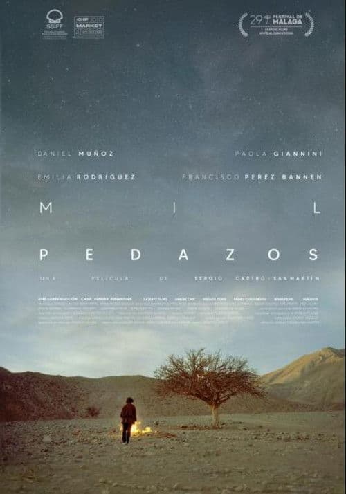 Mil pedazos