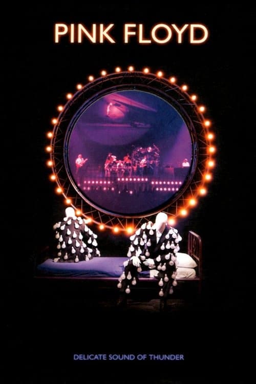 Pink Floyd in Concert: Delicate Sound of Thunder