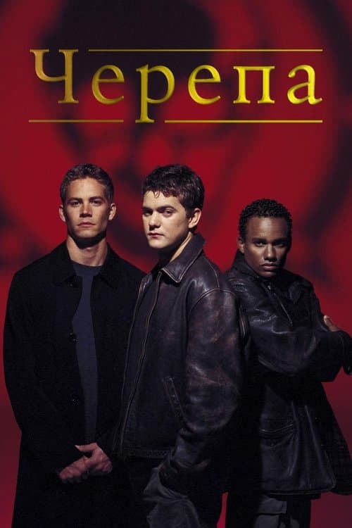 Черепа