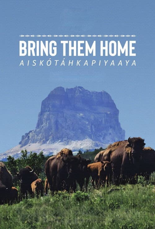 Aiskótáhkapiyaaya