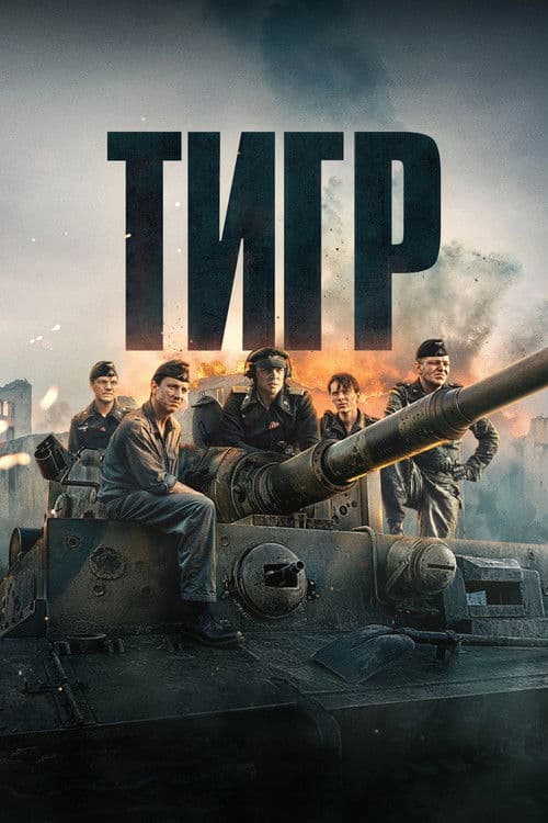 Тигр