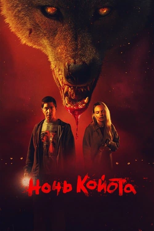 Ночь койота