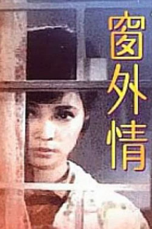 窗外情