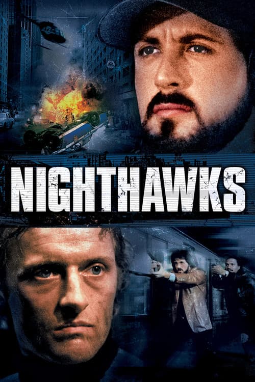 Ночные ястребы