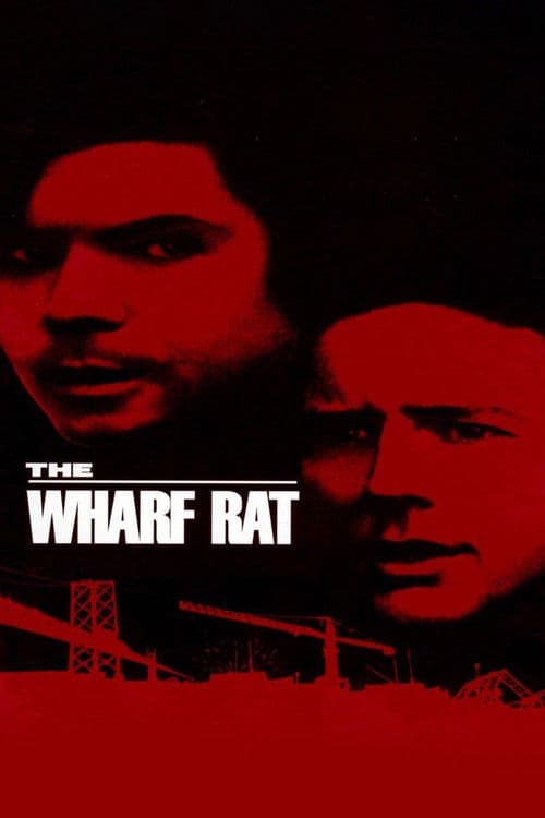 The Wharf Rat