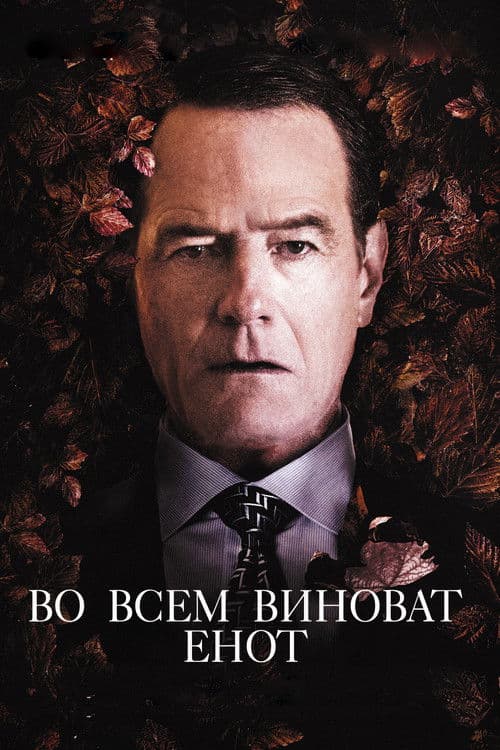 Во всём виноват енот