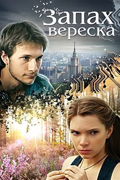 Запах вереска
